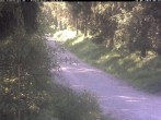 Archiv Foto Webcam Kammloipe Weitersglashütte 07:00