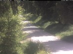Archiv Foto Webcam Kammloipe Weitersglashütte 11:00