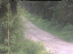 Archiv Foto Webcam Kammloipe Weitersglashütte 15:00