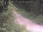 Archiv Foto Webcam Kammloipe Weitersglashütte 17:00