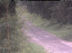 Archiv Foto Webcam Kammloipe Weitersglashütte 05:00