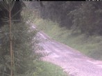 Archiv Foto Webcam Kammloipe Weitersglashütte 05:00