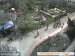 Archiv Foto Webcam Umweltstation KUBZ Waldsassen 13:00