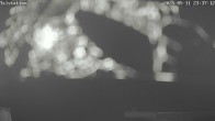 Archiv Foto Webcam Wintersportzentrum Sellinghausen: Lift Talstation 23:00