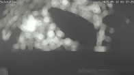 Archiv Foto Webcam Wintersportzentrum Sellinghausen: Lift Talstation 01:00