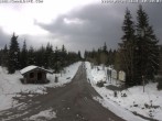 Archived image Webcam Cross-country ski trail Butterweg 09:00