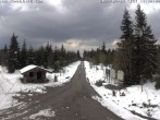 Archived image Webcam Cross-country ski trail Butterweg 11:00