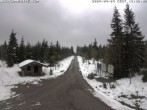 Archived image Webcam Cross-country ski trail Butterweg 13:00