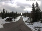 Archived image Webcam Cross-country ski trail Butterweg 15:00