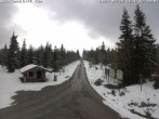 Archived image Webcam Cross-country ski trail Butterweg 11:00