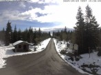 Archived image Webcam Cross-country ski trail Butterweg 15:00