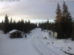 Archived image Webcam Cross-country ski trail Butterweg 07:00