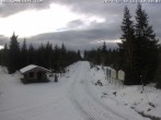 Archived image Webcam Cross-country ski trail Butterweg 09:00