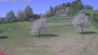 Archiv Foto Webcam Bobbahn Donnstetten 11:00