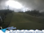 Archived image Webcam Gamskogel 11:00