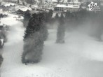 Archiv Foto Webcam Winterberg: Sesselbahn Büre Herrloh 11:00