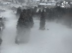 Archiv Foto Webcam Winterberg: Sesselbahn Büre Herrloh 13:00