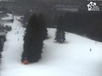 Archived image Webcam Winterberg Ski Resort: chair lift Büre Herrloh 13:00