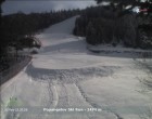 Archived image Webcam Popangelov Slope II 14:00