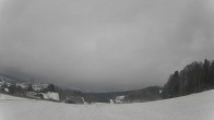 Archiv Foto Webcam Neureichenau, Bayerischer Wald 11:00