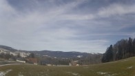 Archived image Webcam Neureichenau, Bavarian Forest 11:00