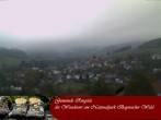 Archiv Foto Webcam Nationalparkgemeinde Ringelai 06:00