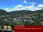 Archived image Webcam Ringelai, Bavarian Forest 11:00