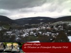 Archiv Foto Webcam Nationalparkgemeinde Ringelai 13:00