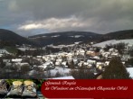 Archiv Foto Webcam Nationalparkgemeinde Ringelai 11:00