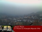 Archived image Webcam Ringelai, Bavarian Forest 05:00