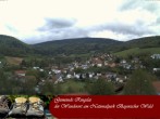 Archiv Foto Webcam Nationalparkgemeinde Ringelai 09:00