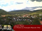 Archived image Webcam Ringelai, Bavarian Forest 13:00