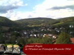 Archived image Webcam Ringelai, Bavarian Forest 15:00
