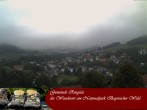 Archived image Webcam Ringelai, Bavarian Forest 05:00