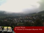 Archived image Webcam Ringelai, Bavarian Forest 06:00