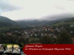 Archived image Webcam Ringelai, Bavarian Forest 07:00