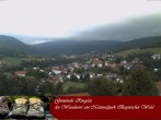 Archived image Webcam Ringelai, Bavarian Forest 09:00