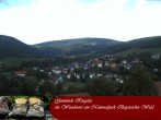 Archived image Webcam Ringelai, Bavarian Forest 11:00