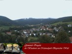 Archived image Webcam Ringelai, Bavarian Forest 15:00