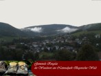 Archived image Webcam Ringelai, Bavarian Forest 19:00
