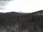 Archived image Webcam Großer Rachel, Bavarian Forest 07:00