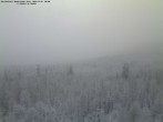 Archived image Webcam Großer Rachel, Bavarian Forest 07:00