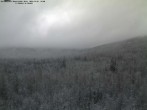 Archived image Webcam Großer Rachel, Bavarian Forest 13:00