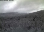 Archived image Webcam Großer Rachel, Bavarian Forest 15:00