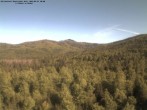 Archiv Foto Webcam Blick auf den Großen Rachel 07:00