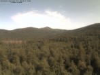 Archiv Foto Webcam Blick auf den Großen Rachel 07:00