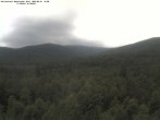 Archived image Webcam Großer Rachel, Bavarian Forest 11:00