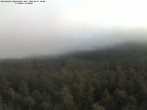 Archived image Webcam Großer Rachel, Bavarian Forest 05:00