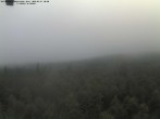 Archived image Webcam Großer Rachel, Bavarian Forest 07:00