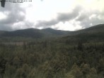 Archived image Webcam Großer Rachel, Bavarian Forest 11:00